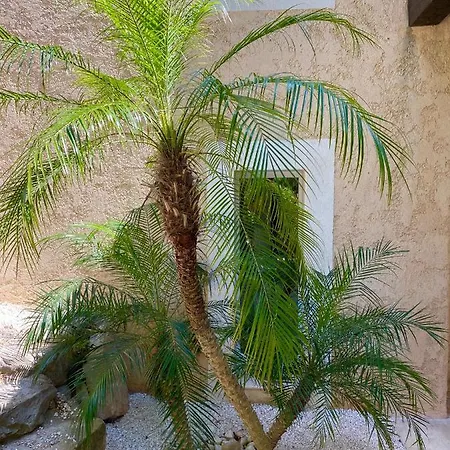 Mas Des Iles D'or - De Luxe Vue Mer Villa